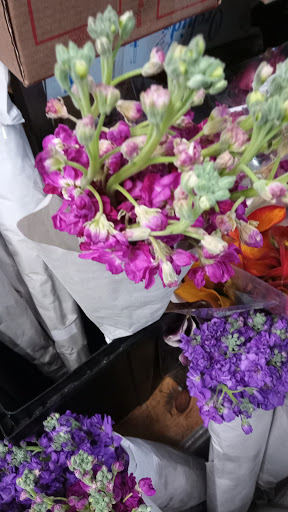 Florist «The Flower Place», reviews and photos, 860 NE 79th St, Miami, FL 33138, USA