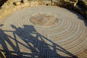 Paphos Mosaics image