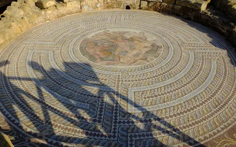 Paphos Mosaics image