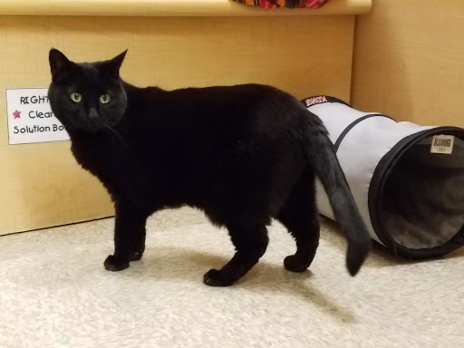 Pet Supply Store «PetSmart», reviews and photos, 1203 N Landing Way, Renton, WA 98057, USA