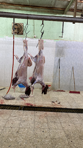 ملحمة القعود البري 