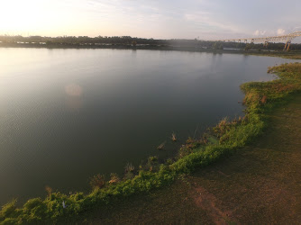 Thousand Acre Marsh