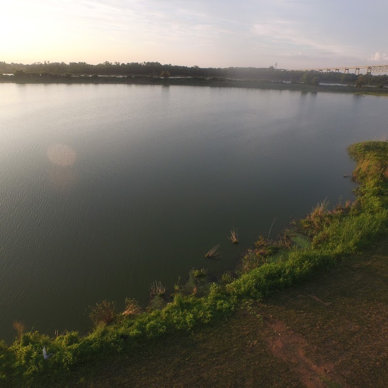 Thousand Acre Marsh