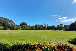 Peradeniya Garden Edge image