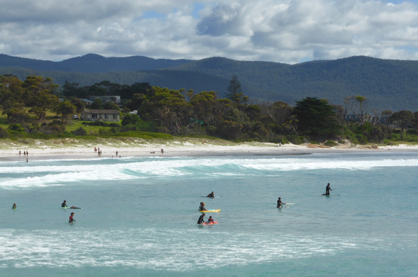 Photo de Taylors Beach - endroit populaire parmi les connaisseurs de la détente