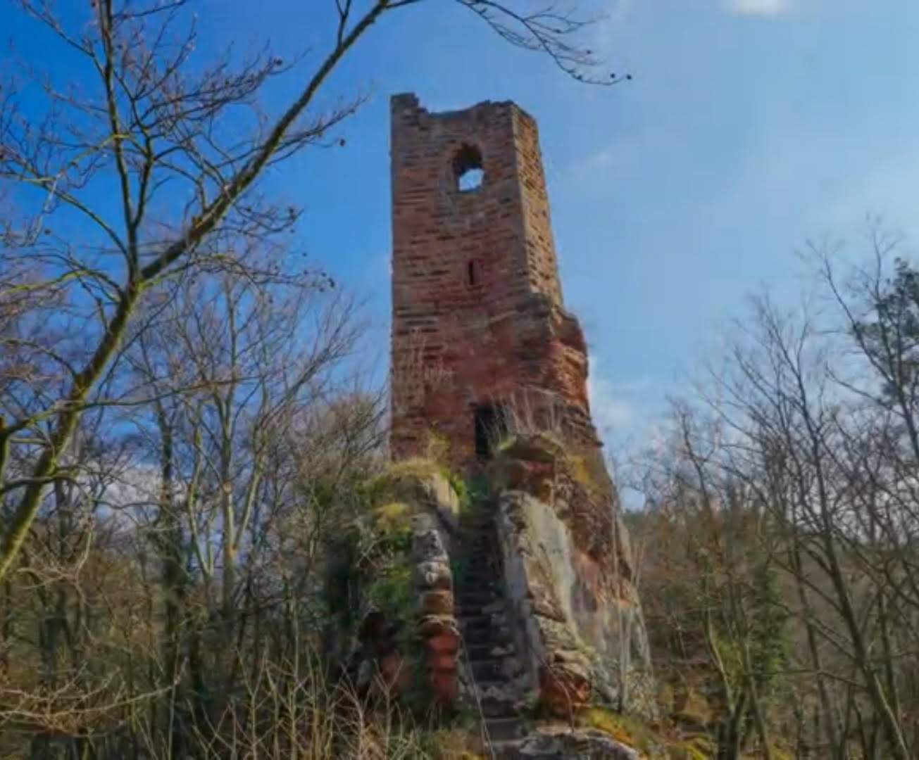 Photo n° 2 de l'avis de channel.a fait le 12/02/2022 à 14:12