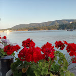 Photo n°3 de l'avis de Marco.a fait le 10/09/2019 à 10:24 sur le  Ristorante la Caravella à Porto Azzurro