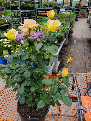 Home Improvement Store «The Home Depot», reviews and photos, 779 Washington St, Auburn, MA 01501, USA