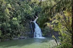 Nihotupu Falls image