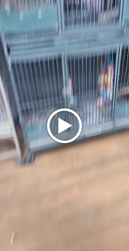 Pet Store «A Family Pet Center», reviews and photos, 6230 N Lockwood Ridge Rd, Sarasota, FL 34243, USA