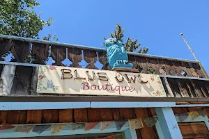 Blue Owl Books & Boutique image