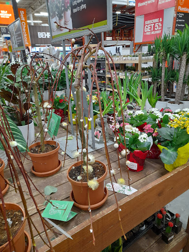 Home Improvement Store «The Home Depot», reviews and photos, 1415 Bstn Providence Hwy, Norwood, MA 02062, USA