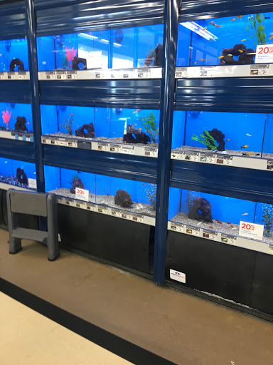 Pet Supply Store «Unleashed by Petco», reviews and photos, 16848 San Fernando Mission Blvd, Granada Hills, CA 91344, USA