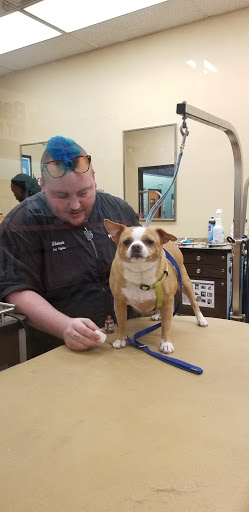 Pet Supply Store «PetSmart», reviews and photos, 2641 Lawndale Dr, Greensboro, NC 27408, USA