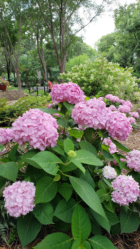 Botanical Garden «Botanical Gardens-Heritage Pk», reviews and photos, 411 Ball St, Grapevine, TX 76051, USA