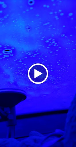 Car Wash «Sporty’s Riverboat Car Wash», reviews and photos, 520 S Ponce De Leon Blvd, St Augustine, FL 32084, USA