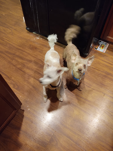 Pet Supply Store «PetSmart», reviews and photos, 17180 Mercantile Blvd, Noblesville, IN 46060, USA