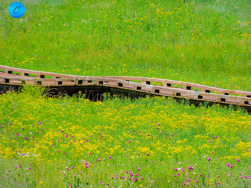 Golf Club «Shining Mountain Golf Course & Event Center», reviews and photos, 100 Shining Mountain Ln, Woodland Park, CO 80863, USA