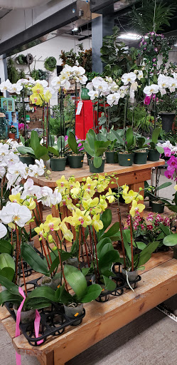 Florist «Metropolitan Plant & Flower Exchange Inc.», reviews and photos, 2125 Fletcher Ave, Fort Lee, NJ 07024, USA