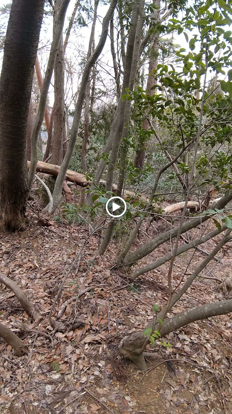 中谷山砦遺跡/D、D´砦