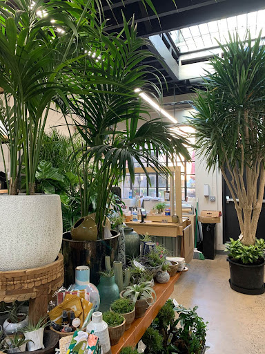 Florist «Englewood Florist, Inc.», reviews and photos, 47 E Palisade Ave, Englewood, NJ 07631, USA