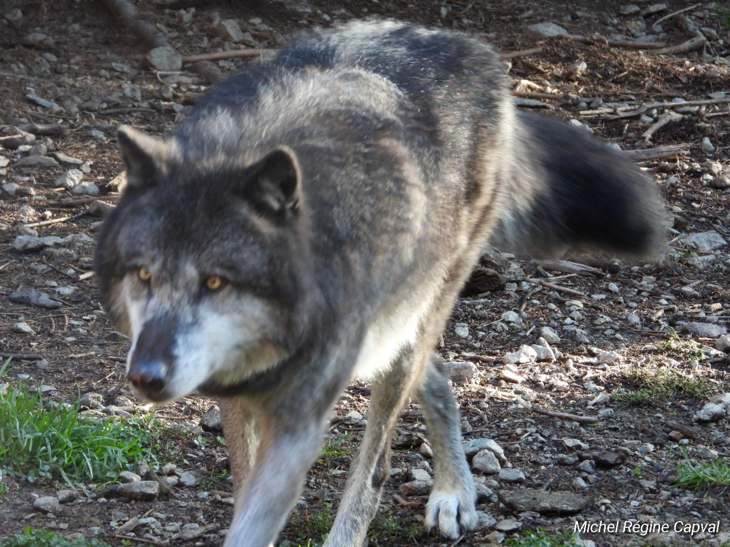 Photo n° 42 de l'avis de michel.a fait le 03/10/2019 à 13:25