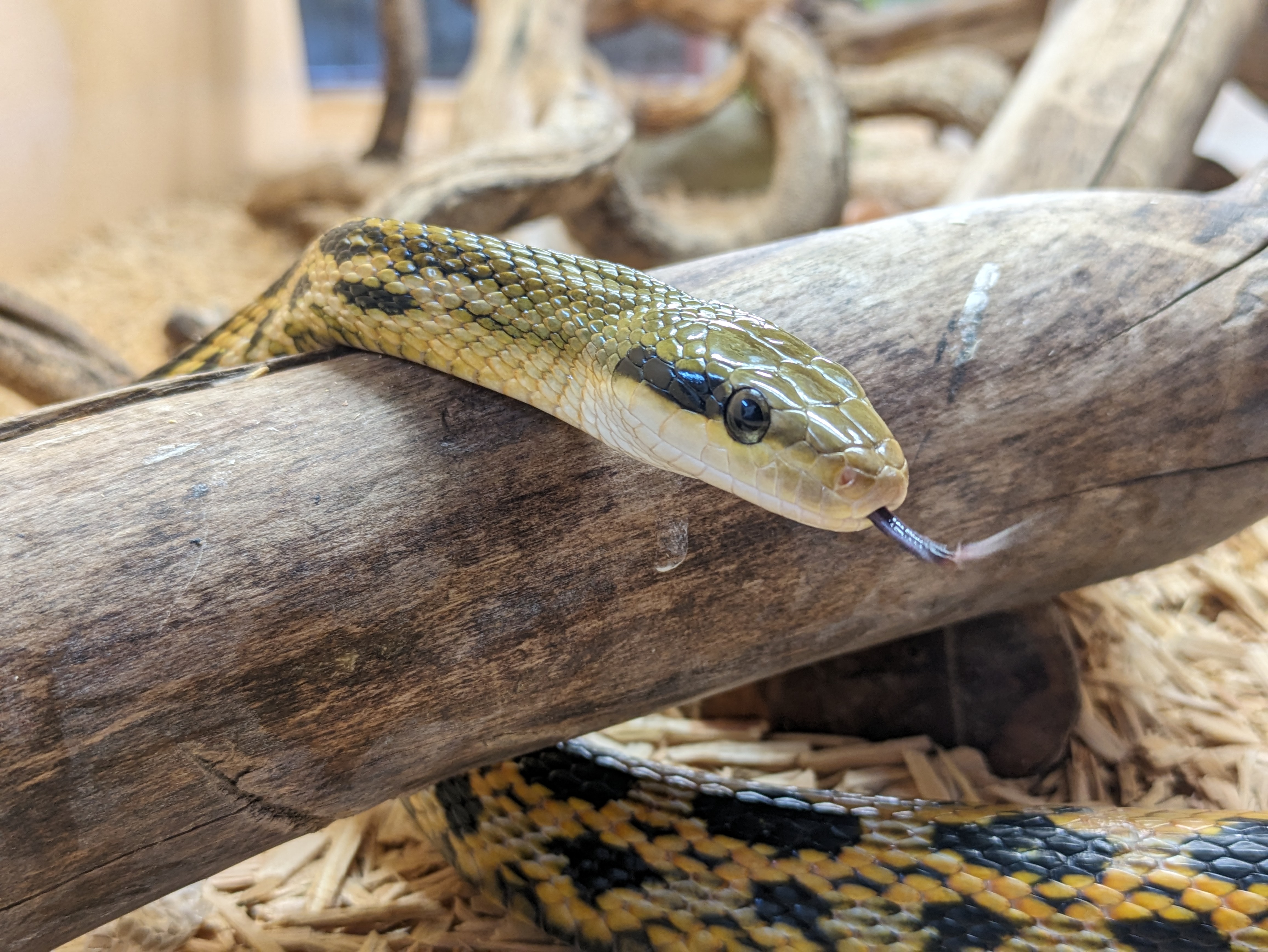 Photo n° 3 de l'avis de Clement.e fait le 02/04/2024 à 05:10