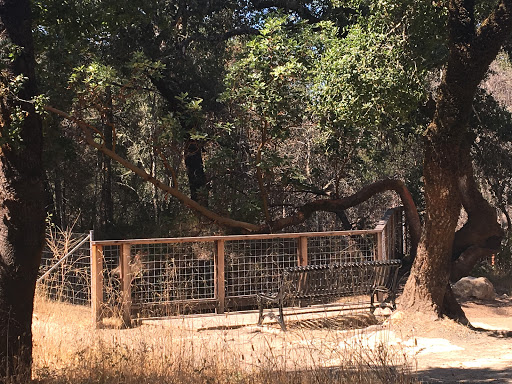 National Forest «Petrified Forest», reviews and photos