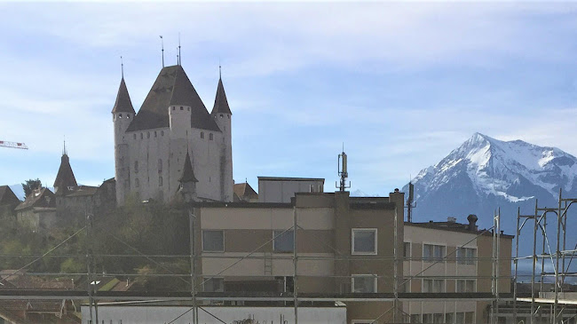 Helmle AG - Thun