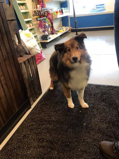 Shopping Mall «The Pointes Shopping Center», reviews and photos, 1040 E Sternberg Rd, Norton Shores, MI 49441, USA