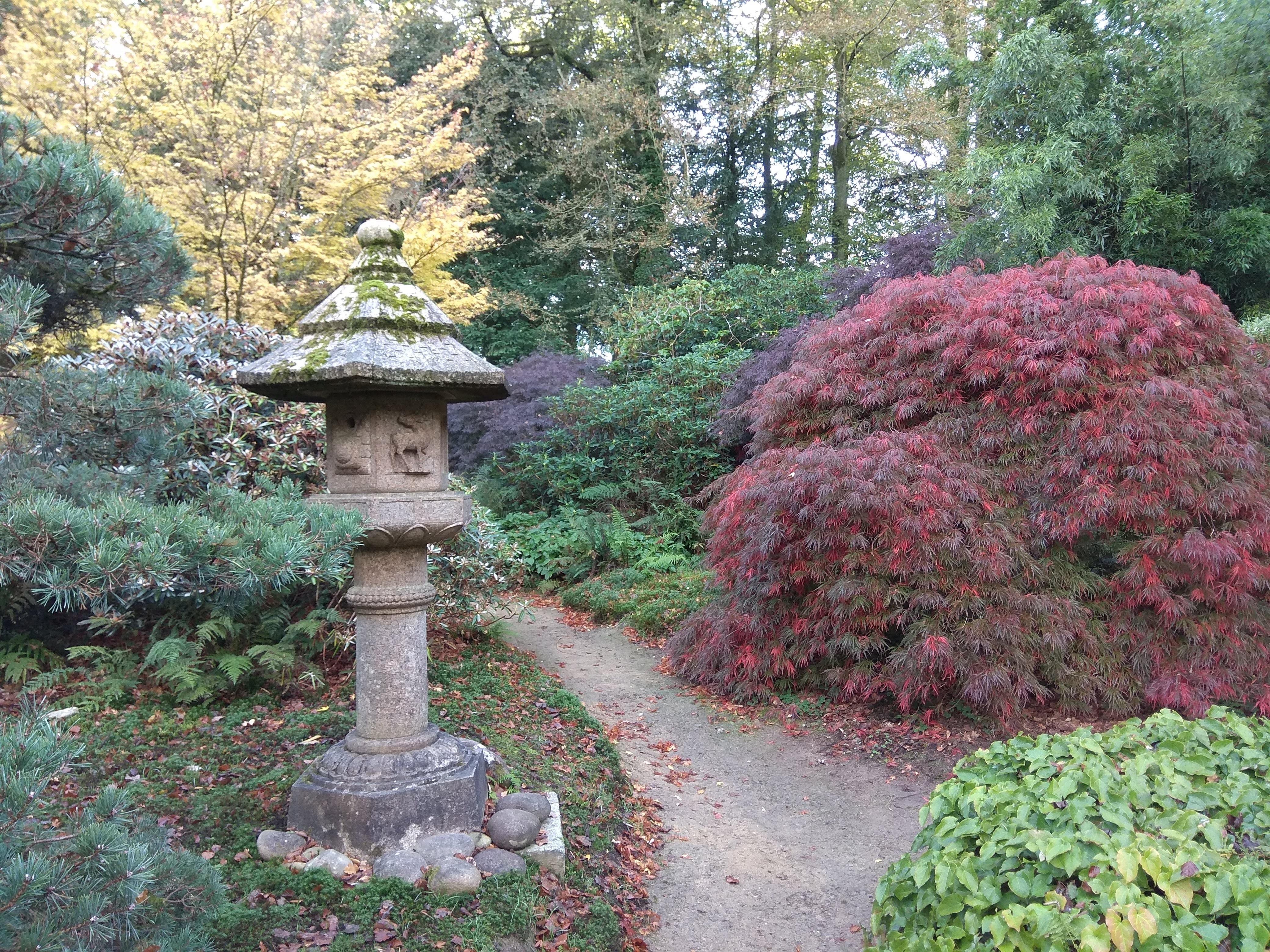 Photo n° 4 de l'avis de Tatiana.k fait le 30/10/2018 à 18:10