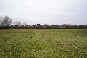 Jubilee Country Park image