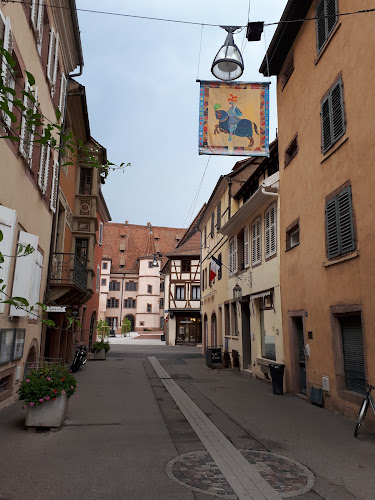 Au Petit Nid d'Alsace - Gîtes Le Colombier, Gîte Les Tourterelles & Gîte Le Caveau Sélestat (Europa Park, Route des vins) à Sélestat