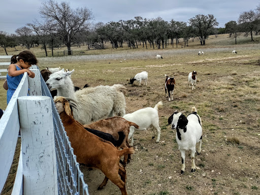 Winery «Singing Water Vineyards», reviews and photos, 316 Mill Dam Rd, Comfort, TX 78013, USA