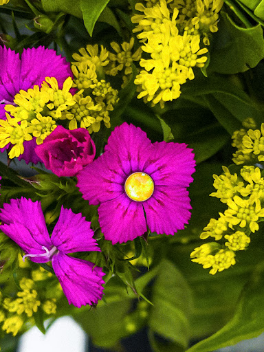 Explore tattoo ideas vines, creative tattoo ideas in San Antonio, available at Platinum Body Piercings