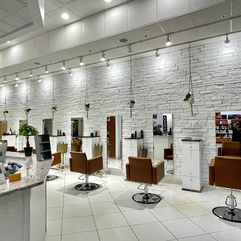 Salon Soleil Aveda