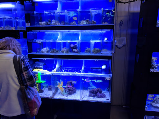 Tropical Fish Store «Premium Aquatics», reviews and photos, 401 E Center Cross St, Edinburgh, IN 46124, USA