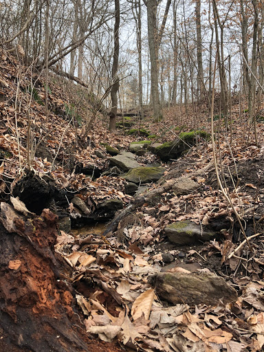 Nature Preserve «Jug Rock Nature Preserve», reviews and photos, Albright Ln, Shoals, IN 47581, USA