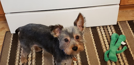 401 W 14th Pl, Chicago Heights, IL 60411, USA