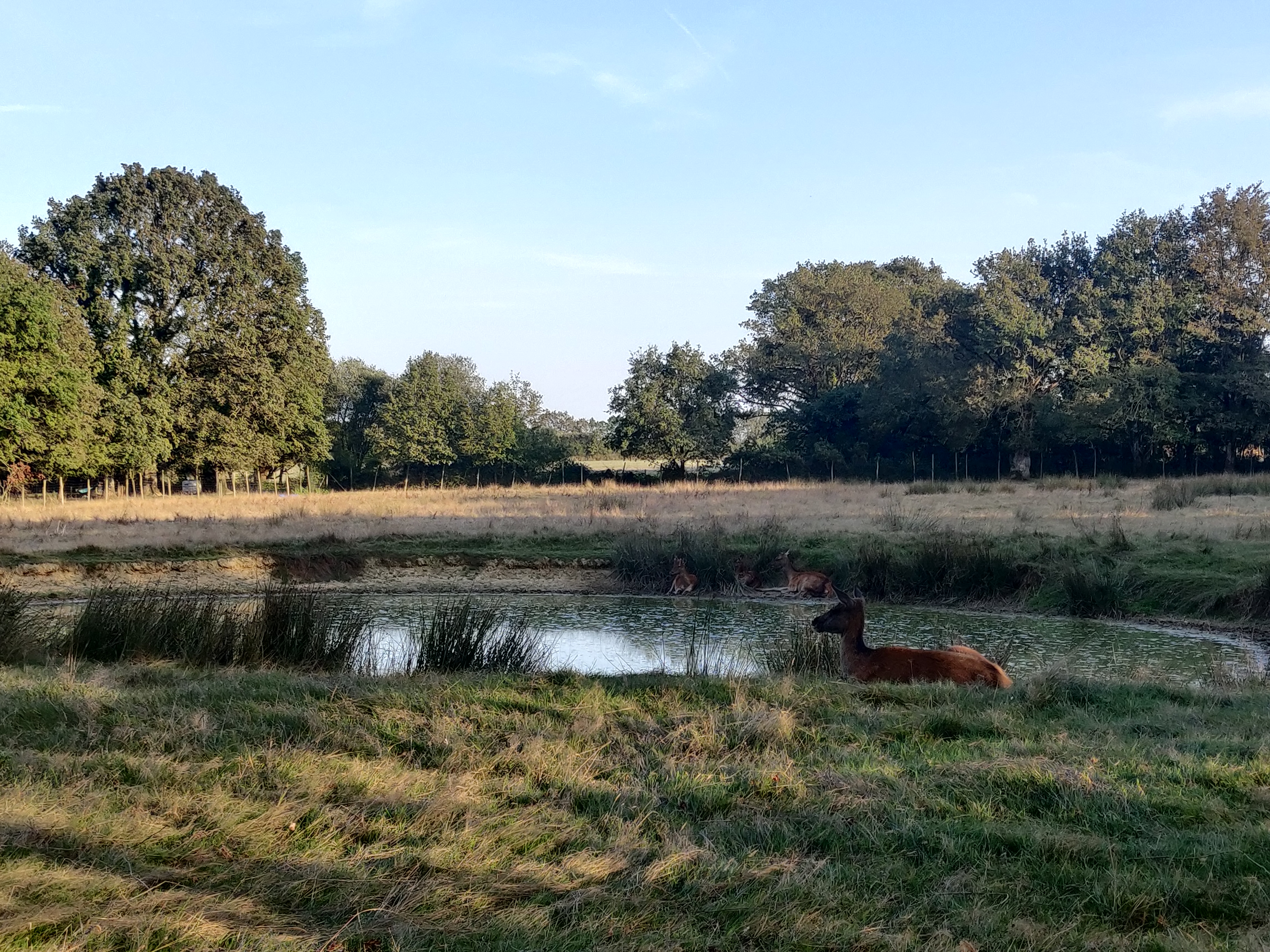 Photo n° 1 de l'avis de maude.e fait le 10/09/2023 à 17:24