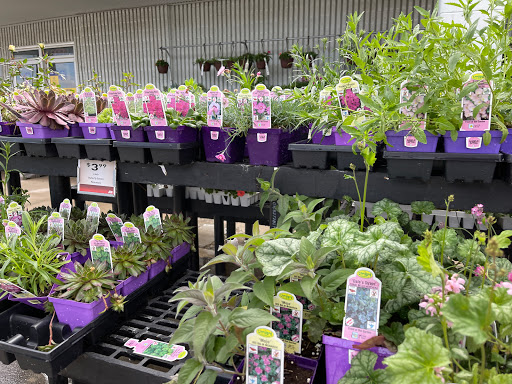 Hardware Store «Westlake Ace Hardware», reviews and photos, 10130 E State Rte 350, Raytown, MO 64138, USA