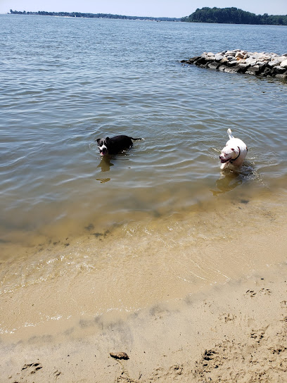 Quiet Waters Dog Park