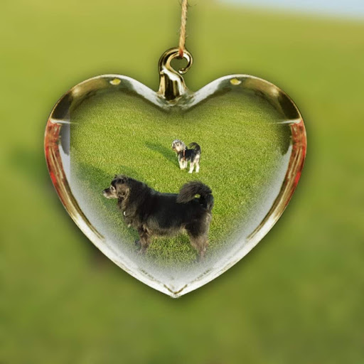 Dr.med.vet. Thomas Eckes veterinarian unter Lindlar, 