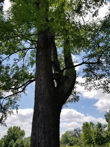 Park «Robsion Park», reviews and photos, Robsion Park Dr, Lyndon, KY 40222, USA