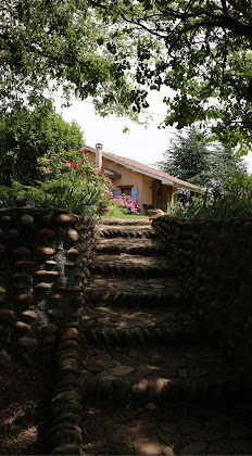 Extérieur Chambre d'hôtes Les Cèdres des Collines - Hébergement en Drôme 26330 Châteauneuf-de-Galaure