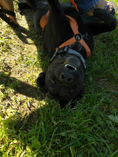 Park «Bonsall Park», reviews and photos, 3000 Silverside Rd, Wilmington, DE 19810, USA