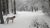 Parc Lesdiguières Seyssinet-Pariset