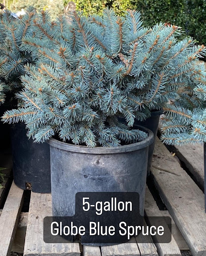 Landscaping Supply Store «Kirkwood Gardens», reviews and photos, 2701 Barrett Station Rd, Ballwin, MO 63021, USA