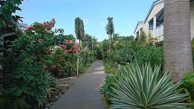Caraïbes Royal