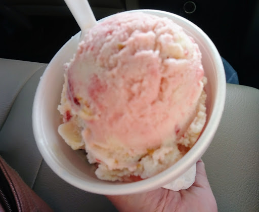 Ice Cream Shop «Homemade Ice Cream Shop», reviews and photos, 14660 Front Beach Rd, Panama City Beach, FL 32413, USA